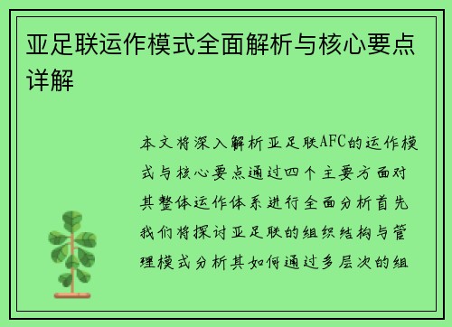 亚足联运作模式全面解析与核心要点详解